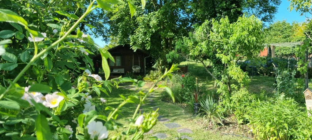Les Glycines De Monchy- D'hotes Bed & Breakfast